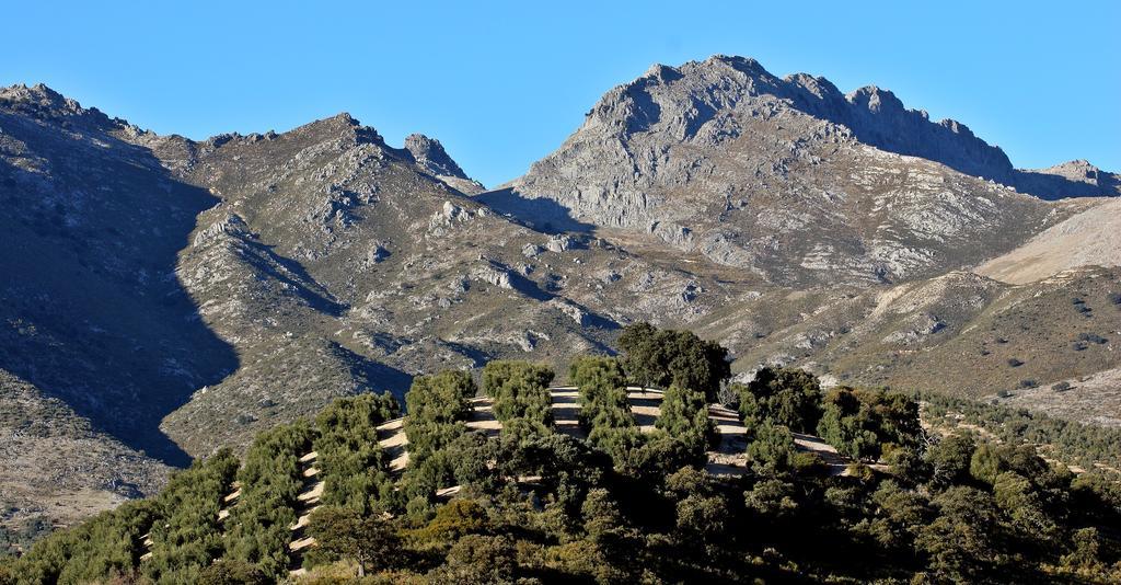 Huerta De Las Palomas Priego de Córdoba Exteriör bild